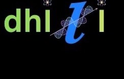 Dhiti